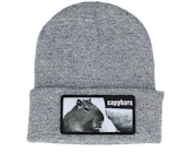 Capybara Sofa Beanie Heather Grey Cuff