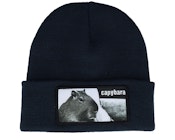 Capybara Sofa Beanie French Navy Cuff