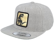 Kids Dino Gold Patch Heather Grey Snapback