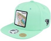 Pro Fishing Trout Teal Sustainable Snapback