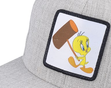 Snapback Hat Looney 